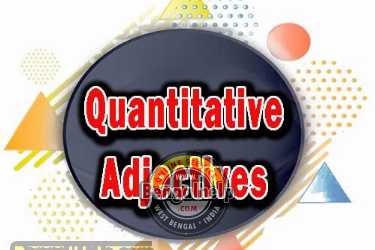 Quantitative Adjectives Definition and Examples-162-3945479360.jpg